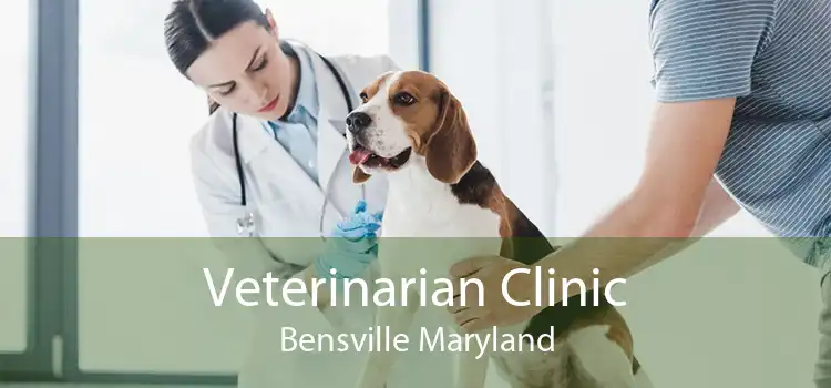 Veterinarian Clinic Bensville Maryland