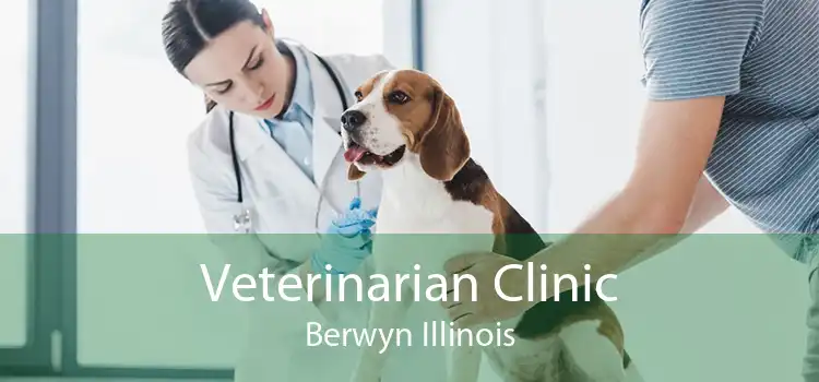 Veterinarian Clinic Berwyn Illinois