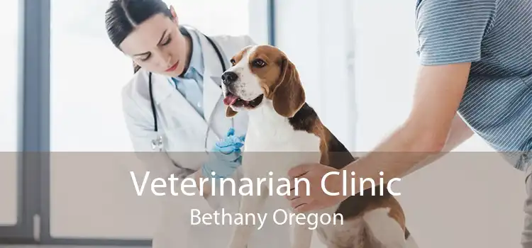 Veterinarian Clinic Bethany Oregon