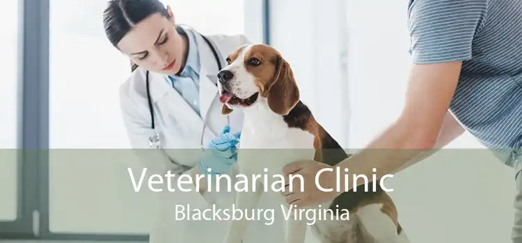 Veterinarian Clinic Blacksburg Virginia