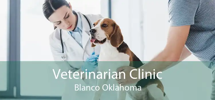 Veterinarian Clinic Blanco Oklahoma