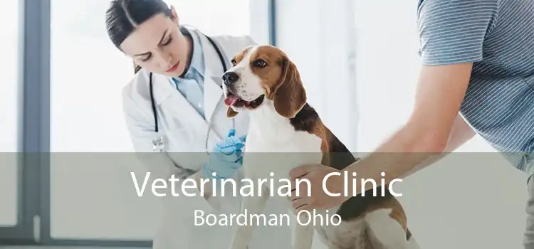 Veterinarian Clinic Boardman Ohio