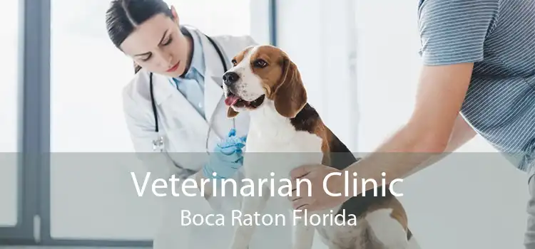 Veterinarian Clinic Boca Raton Florida