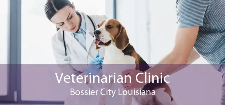 Veterinarian Clinic Bossier City Louisiana
