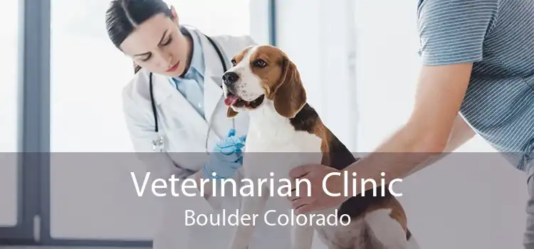 Veterinarian Clinic Boulder Colorado