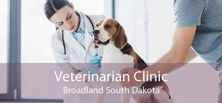 Veterinarian Clinic Broadland South Dakota