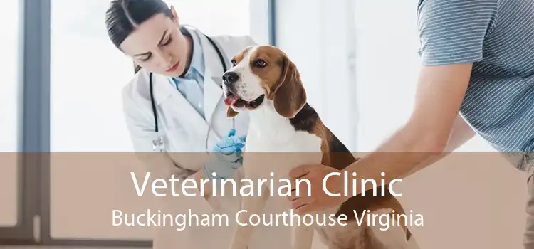 Veterinarian Clinic Buckingham Courthouse Virginia