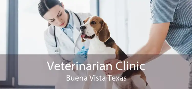 Veterinarian Clinic Buena Vista Texas