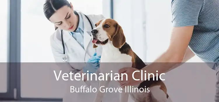 Veterinarian Clinic Buffalo Grove Illinois