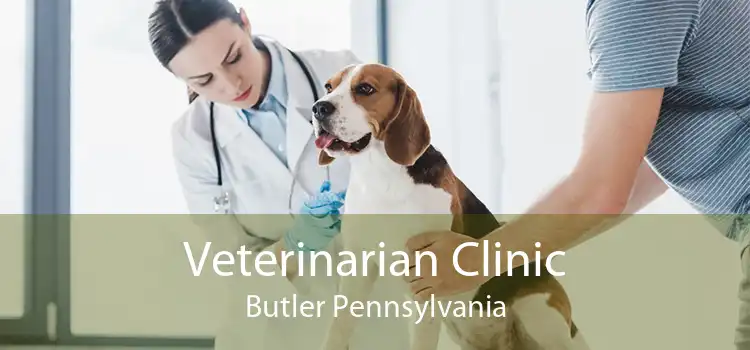 Veterinarian Clinic Butler Pennsylvania