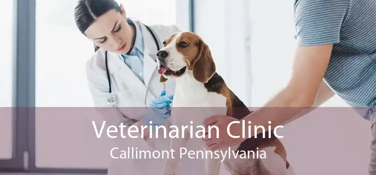 Veterinarian Clinic Callimont Pennsylvania