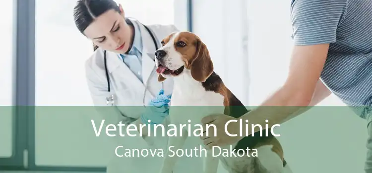 Veterinarian Clinic Canova South Dakota
