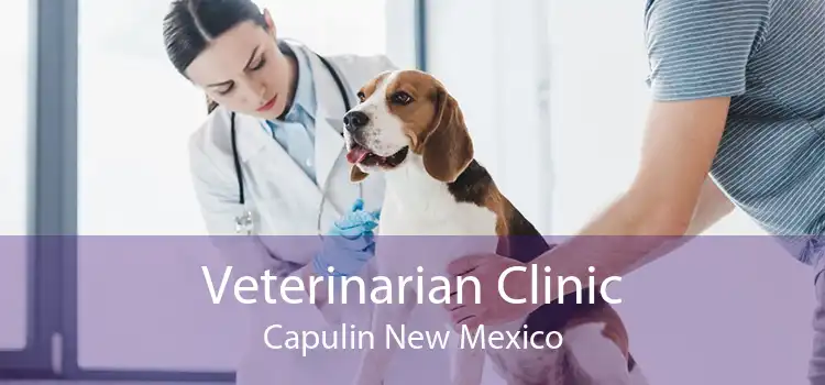 Veterinarian Clinic Capulin New Mexico