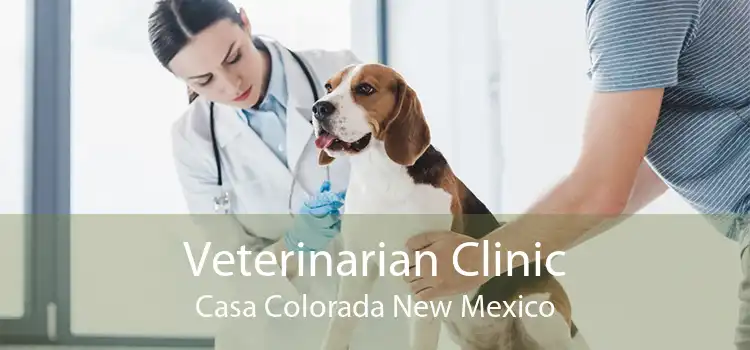 Veterinarian Clinic Casa Colorada New Mexico