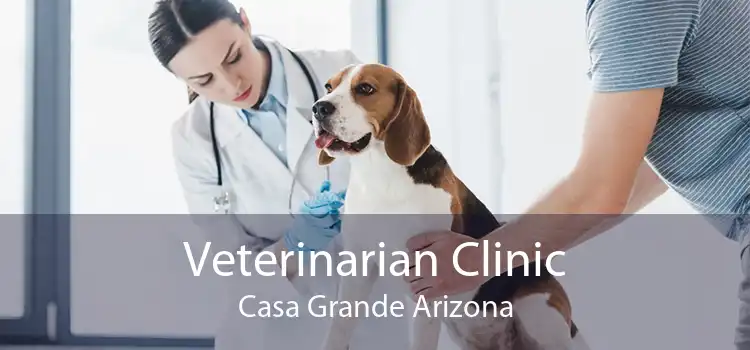 Veterinarian Clinic Casa Grande Arizona
