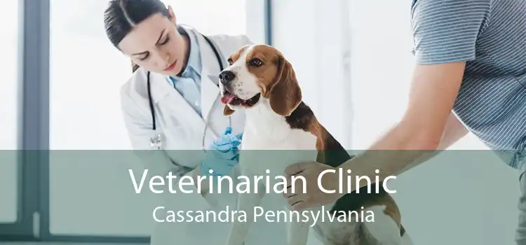 Veterinarian Clinic Cassandra Pennsylvania
