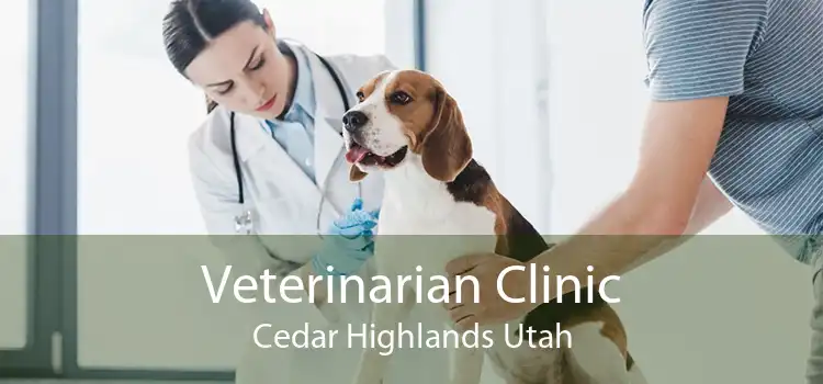 Veterinarian Clinic Cedar Highlands Utah