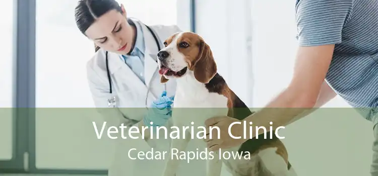 Veterinarian Clinic Cedar Rapids Iowa