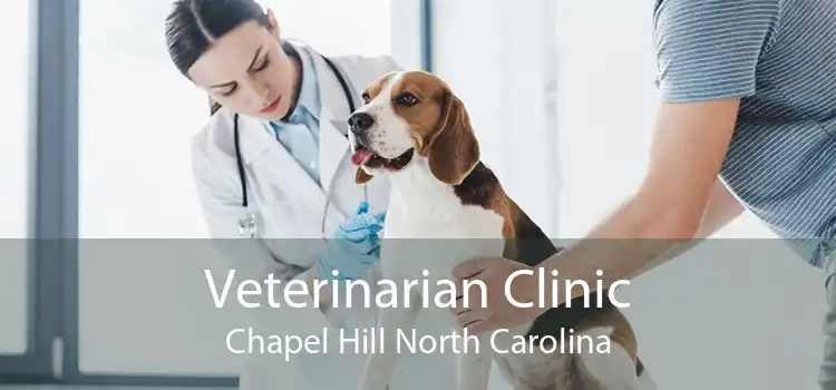 Veterinarian Clinic Chapel Hill North Carolina