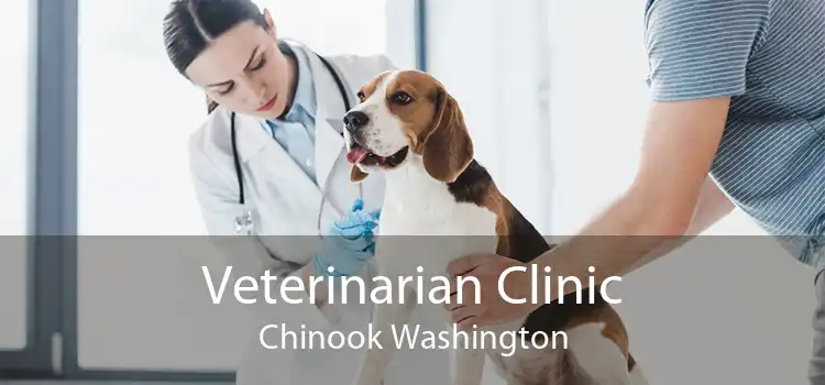 Veterinarian Clinic Chinook Washington
