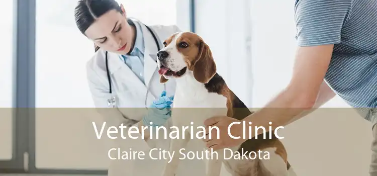 Veterinarian Clinic Claire City South Dakota