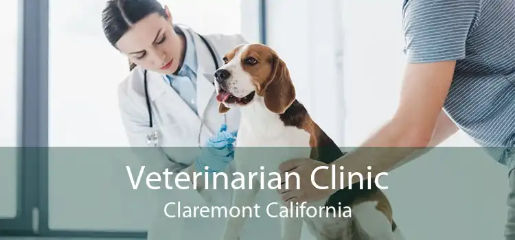 Veterinarian Clinic Claremont California