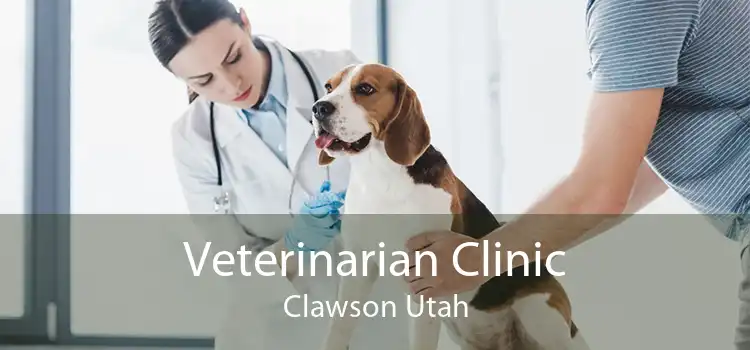 Veterinarian Clinic Clawson Utah