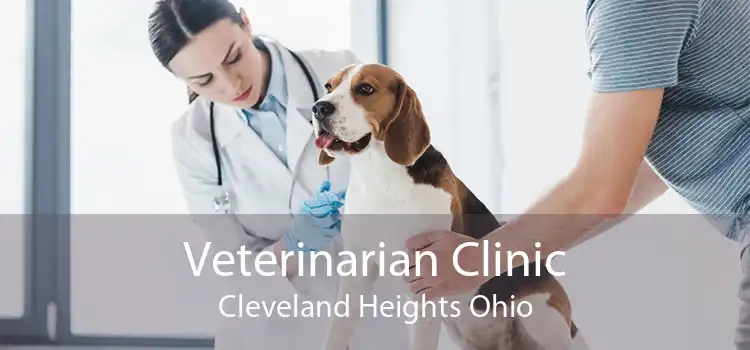 Veterinarian Clinic Cleveland Heights Ohio