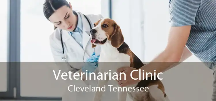 Veterinarian Clinic Cleveland Tennessee
