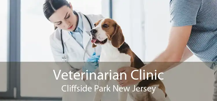 Veterinarian Clinic Cliffside Park New Jersey