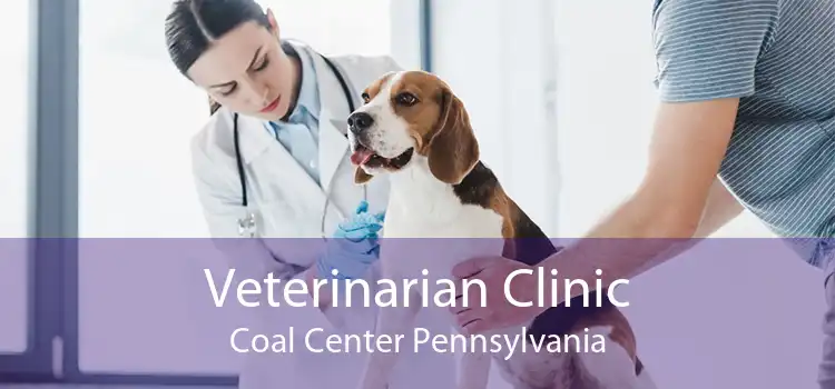 Veterinarian Clinic Coal Center Pennsylvania