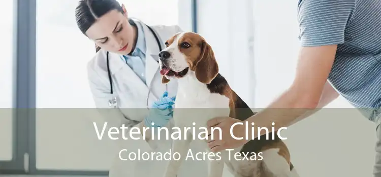 Veterinarian Clinic Colorado Acres Texas
