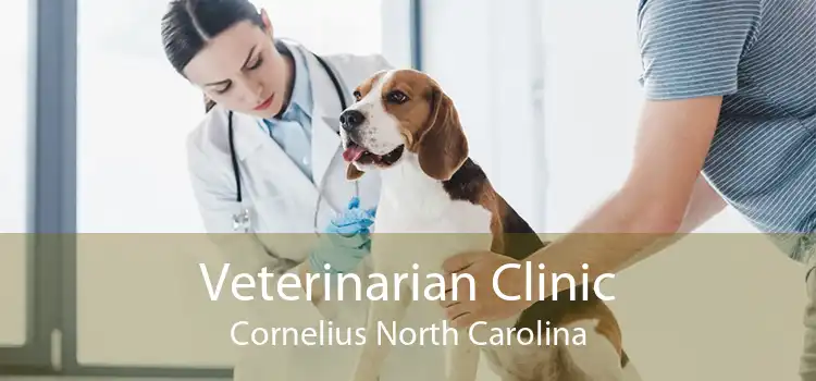 Veterinarian Clinic Cornelius North Carolina