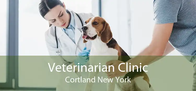 Veterinarian Clinic Cortland New York