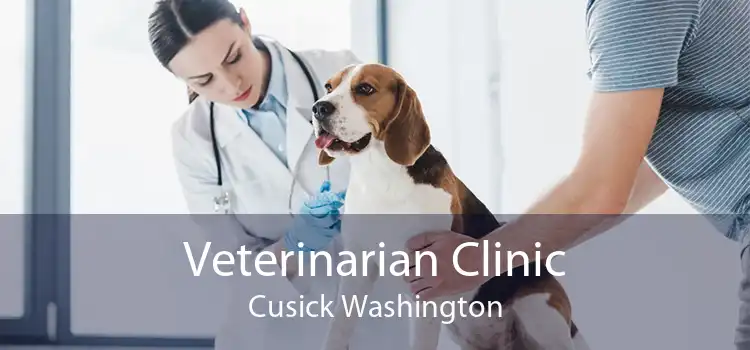 Veterinarian Clinic Cusick Washington