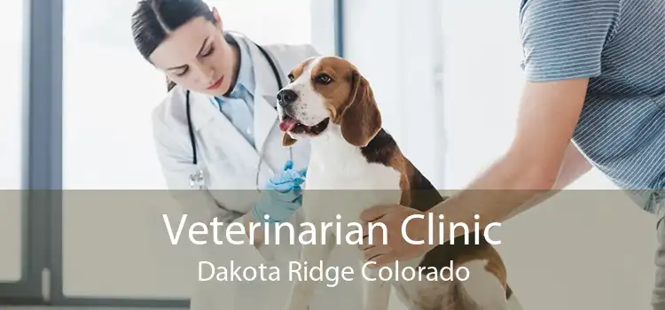Veterinarian Clinic Dakota Ridge Colorado