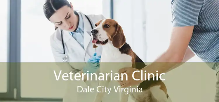 Veterinarian Clinic Dale City Virginia
