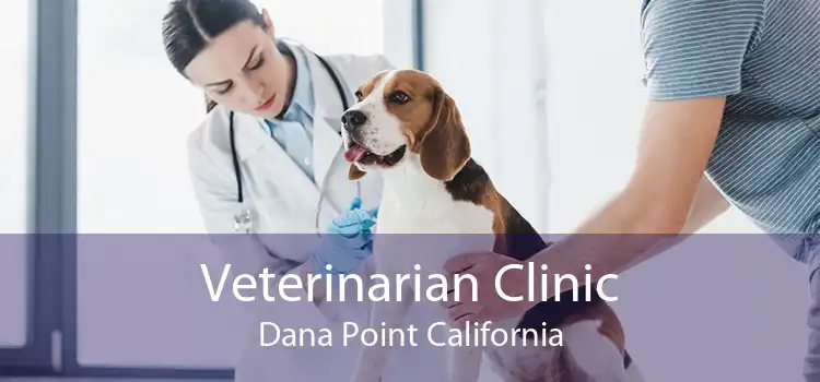 Veterinarian Clinic Dana Point California