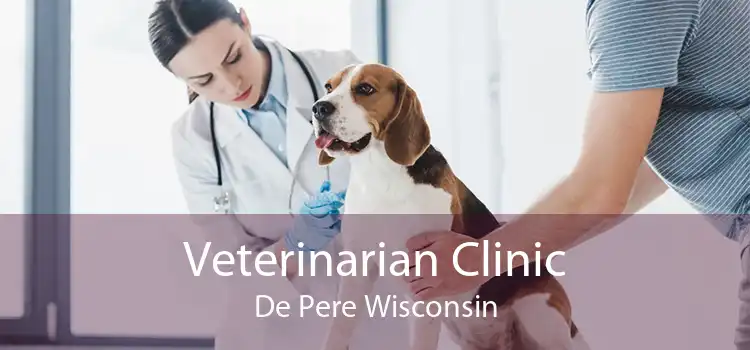 Veterinarian Clinic De Pere Wisconsin