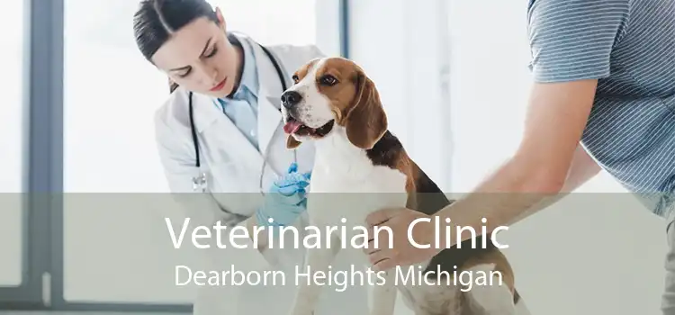 Veterinarian Clinic Dearborn Heights Michigan