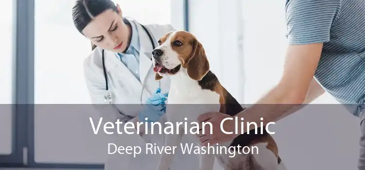 Veterinarian Clinic Deep River Washington