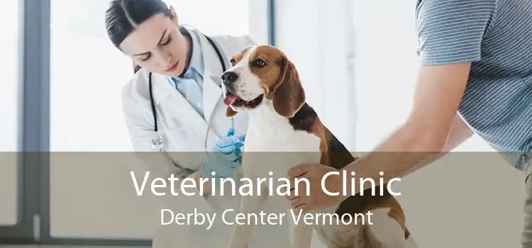 Veterinarian Clinic Derby Center Vermont
