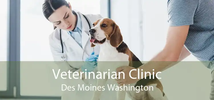 Veterinarian Clinic Des Moines Washington