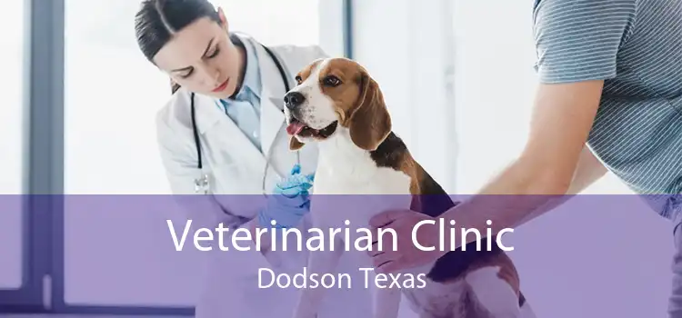 Veterinarian Clinic Dodson Texas