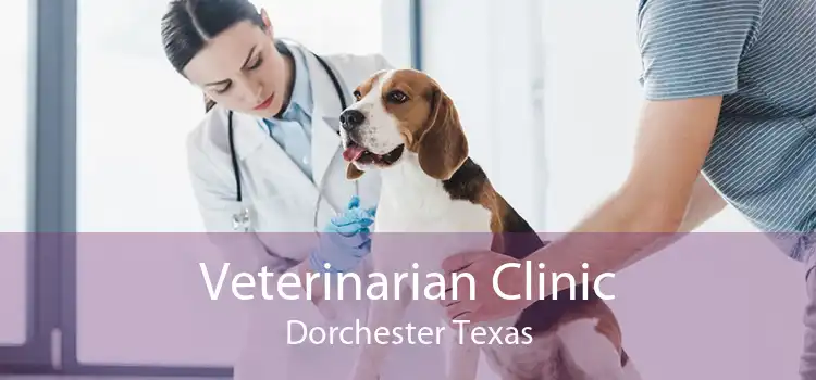 Veterinarian Clinic Dorchester Texas