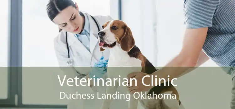 Veterinarian Clinic Duchess Landing Oklahoma