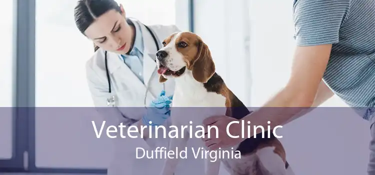 Veterinarian Clinic Duffield Virginia