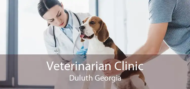 Veterinarian Clinic Duluth Georgia