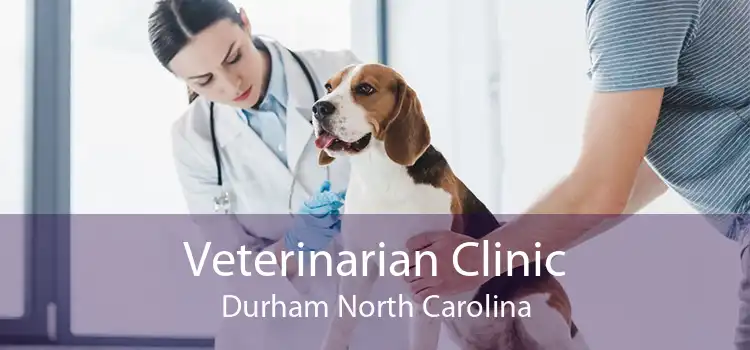Veterinarian Clinic Durham North Carolina