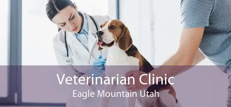 Veterinarian Clinic Eagle Mountain Utah